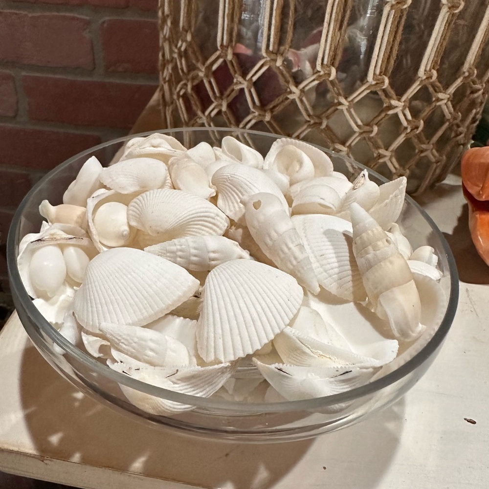 Decorative White Seashell Bowl - Coastal Accent